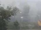 Мощный тропический ливень обрушился на Воронеж
