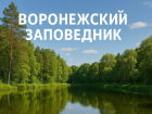 Воронежский заповедник бьёт рекорды посещаемости