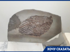 Сырость и грибок принес обвал потолка после капремонта в квартиру в центре Воронеже  