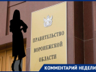 «Заслуженная» или всё дело в связях: что говорят о новом главном юристе воронежского правительства