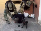 Опубликовано видео задержания воронежца, переводившего крипту ГУР Украины