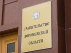 Стало известно, когда начнет работать новый воронежский министр предпринимательства
