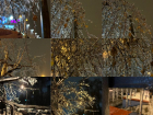 Фотографиями города «из стекла» после ледяного дождя поделились воронежцы
