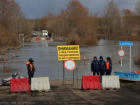 Во время весеннего паводка в Воронежской области затопило 19 мостов