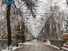 Самый холодный день и потепление спрогнозировали на короткую рабочую неделю в Воронежской области 
