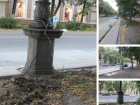 Очередные велодорожки-«убийцы» заметили при реконструкции улицы в центре Воронежа