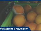 В «Магните» продают «свежую» плесень! – жительница Воронежа