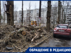 Завалили ветками и порвали провода: воронежцев поразило благоустройство в собственном дворе