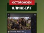 Развенчан фейк о смертельном нападении бурого медведя на воронежского ветерана