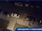 «И так каждую ночь»: собачий кураж попал на видео в Воронеже 