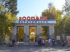В Воронежском зоопарке пройдет бесплатная выставка животных