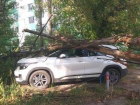 Ураганный ветер повалил огромное дерево на припаркованную иномарку в Воронеже