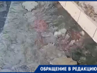 Под тротуарной плиткой в центре Воронежа открылся «родник»