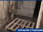 «Меня сейчас вырвет», – воронежцы рискнули здоровьем, чтобы снять на видео тошнотворный подвал своего дома