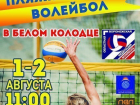 В Воронеже все желающие смогут принять участие в соревнованиях по пляжному волейболу