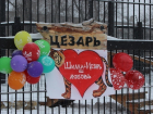 В День всех влюбленных в Воронежском зоопарке подвели итоги голосования за лучшую пару животных 