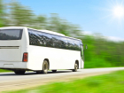 Пострадавших от «ВИМ-Авиа» воронежских туристов привезли домой на автобусах