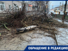 Брошенные обрезки деревьев в центре Воронежа прокомментировали в мэрии
