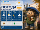 О капризах погоды в Воронеже рассказала позитивная блондинка 	