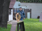 В Воронеже правоохранители рассказали о работе кинологов и служебных собаках Румбе, Мери и Вольде