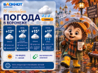 Пора на осеннюю прогулку: прогноз погоды в Воронеже 