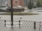 Заплыв по дороге, превратившейся в реку, записали на видео в Воронежской области