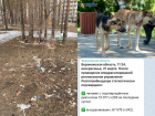 Коронавирус в Воронеже 21 марта: +205 зараженных, 16 смертей и собачий укус за ягодицу 