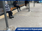 Умную остановку с подвохом показали воронежцы в Северном 