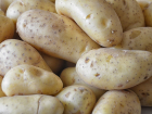 В Воронежскую область запретили ввоз 25 тонн картофеля из Украины