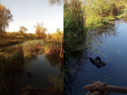 Превращение маленькой речки в болото запечатлели на фото под Воронежем