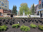 Три сотни роз заполнят клумбу на Никитинской площади Воронежа