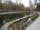 Расчистка озера за 2,56 млн рублей завершилась в Центральном парке Воронежа