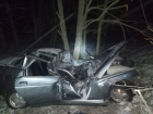 Столкновение с деревом унесло жизнь 18-летнего подростка в Воронежской области
