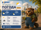 Жара ушла, а солнце осталось: прогноз погоды в Воронеже