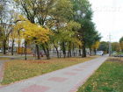 В Воронеже преобразят Комсомольский сквер и Университетскую площадь