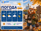 Лето и дожди: прогноз погоды в Воронеже