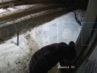 Неадекватный разнос будки охраны попал на видео в элитном воронежском поселке
