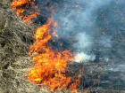 В Воронежской области власти начали борьбу с весенними поджогами сухой травы