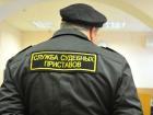 Из-за мужа должника женщина лишилась земельных участков в Воронежской области