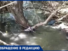 Дышать реально нечем: поток фекалий устремился в реку из-за аварии в Воронежской области