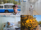 Коронавирус в Воронеже 20 августа: 24 смерти, 467 зараженных и бесплатные лекарства 