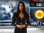 Весеннее тепло ворвется в Воронеж на выходных 
