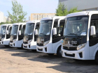 Партию из 30 новых низкопольных автобусов получит Воронеж