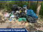 Нерасторопность коммунальщиков показали на примере импровизированной свалки в Воронеже 