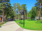 На Левом берегу Воронежа горожане смогут прочувствовать ЭкоПульс