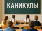 Стали известны даты школьных каникул в наступившем учебном году в Воронеже
