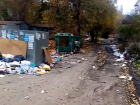 Помойный апокалипсис наступил во дворах около Глинозема в Воронеже