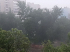 Пугающий июльский ураган запечатлели на камеру на левом берегу Воронежа