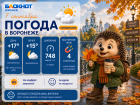 Бабье лето с характером: прогноз погоды в Воронеже 