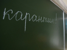 Из-за пневмонии школа под Воронежем закрылась на карантин